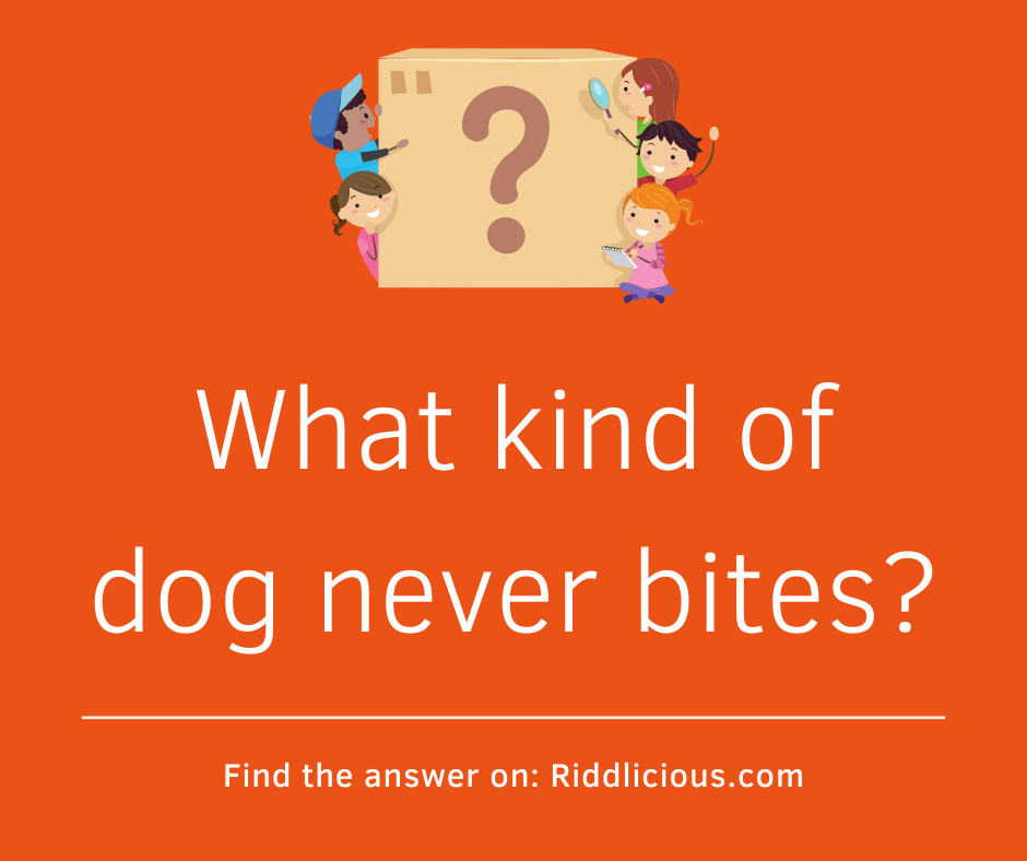Riddle: What kind of dog never bites?
