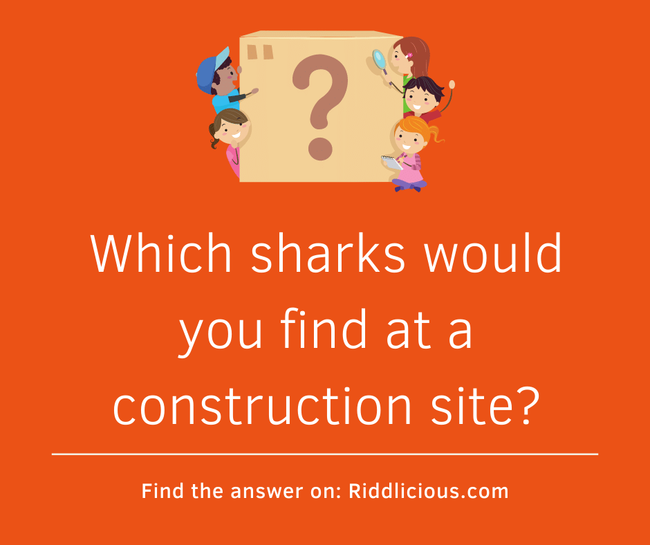 Riddle: Which sharks would you find at a construction site?