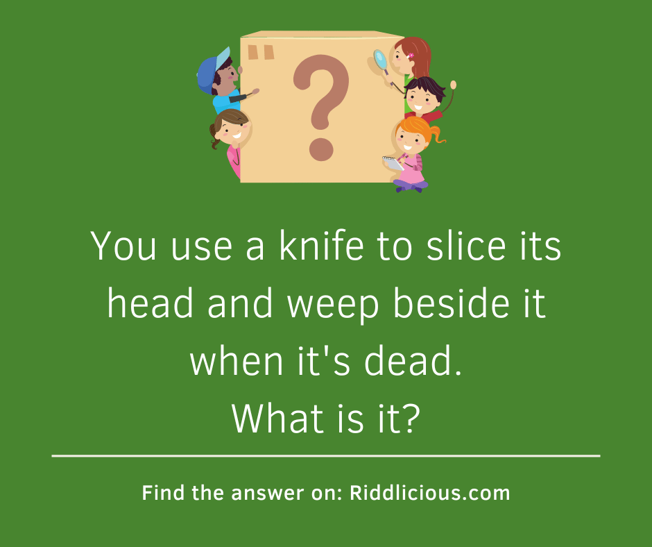 Riddle: You use a knife to slice its head and weep beside it when it's dead. What is it?