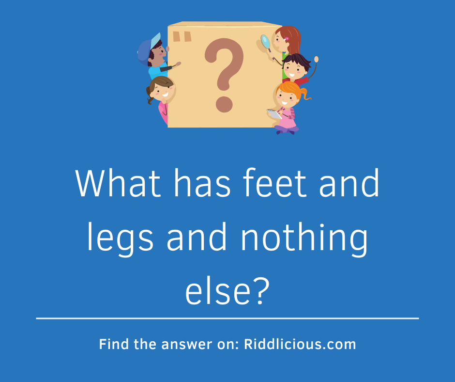 Riddle: What has feet and legs and nothing else?