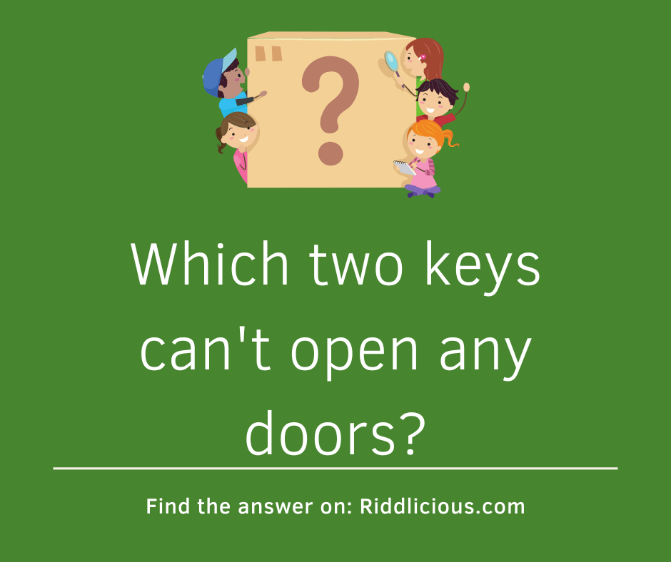 Riddle: Which two keys can't open any doors?