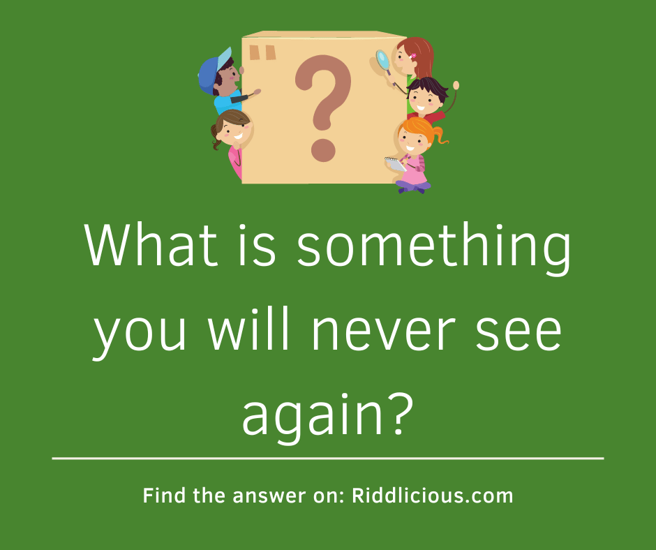 Riddle: What is something you will never see again?
