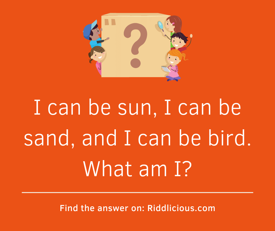 Riddle: I can be sun, I can be sand, and I can be bird. What am I?