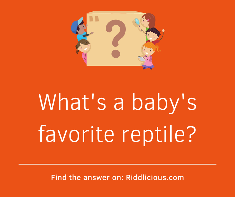 Riddle: What's a baby's favorite reptile?