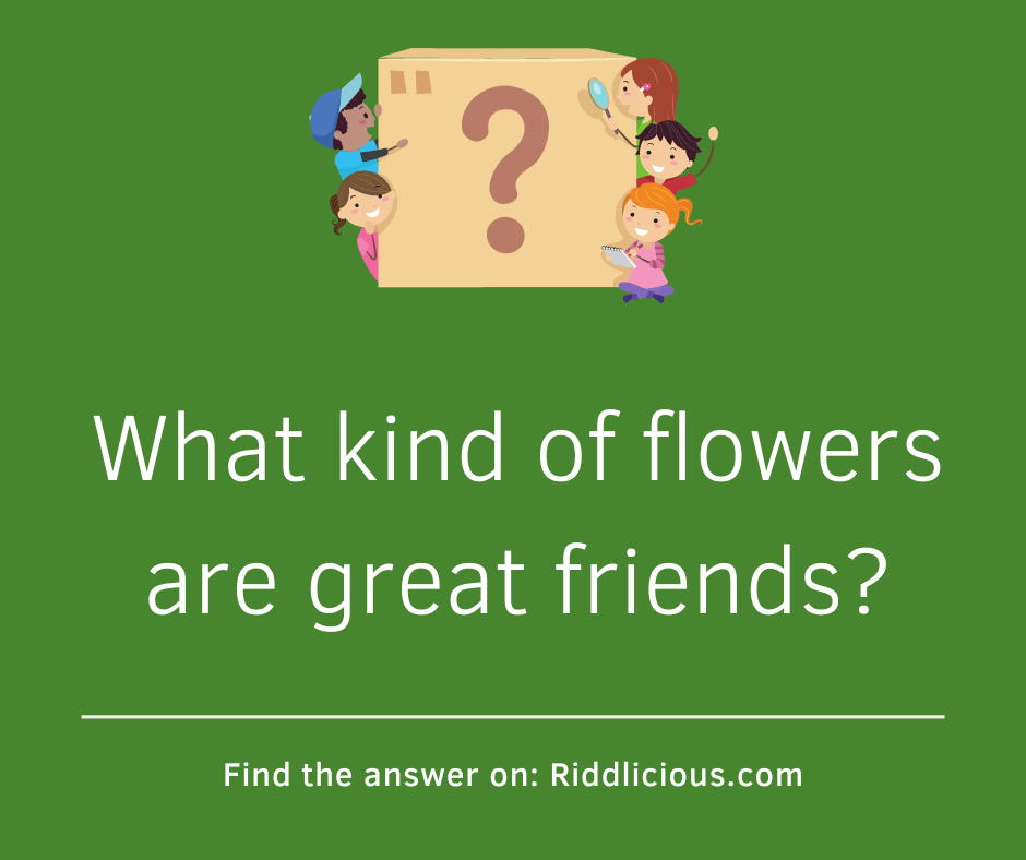 Riddle: What kind of flowers are great friends?