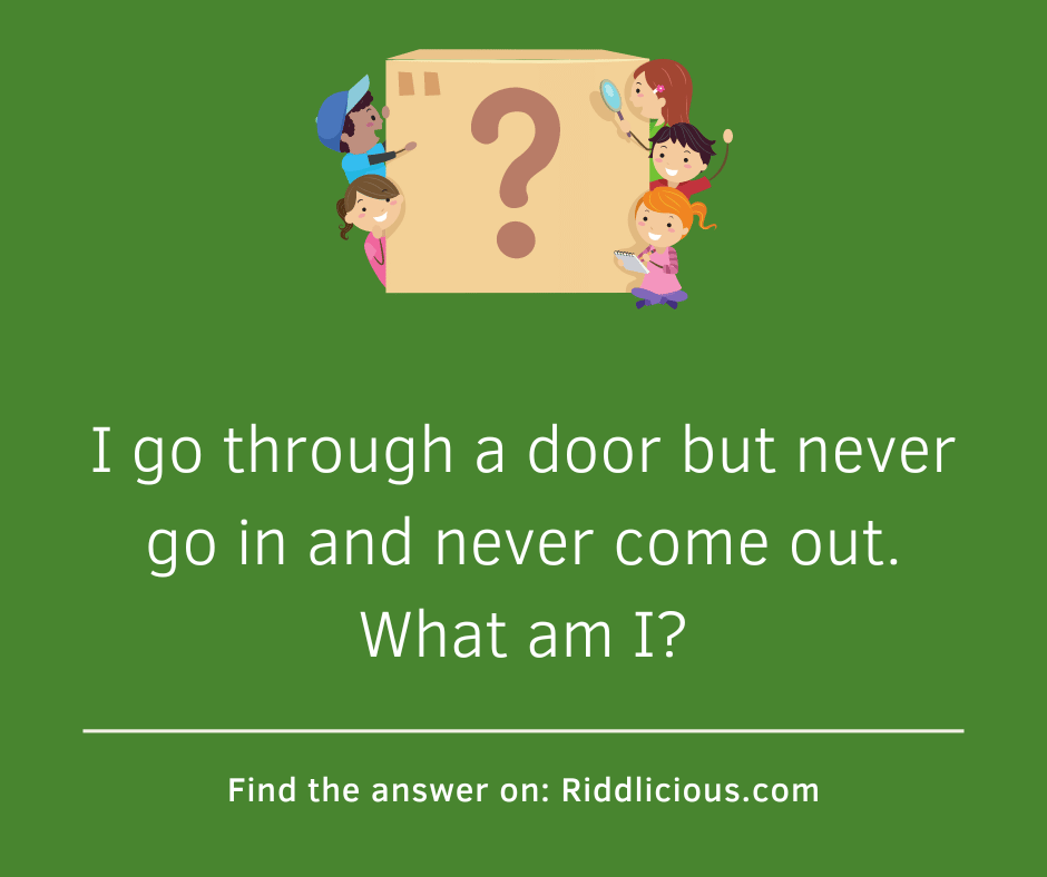 Riddle: I go through a door but never go in and never come out. What am I?
