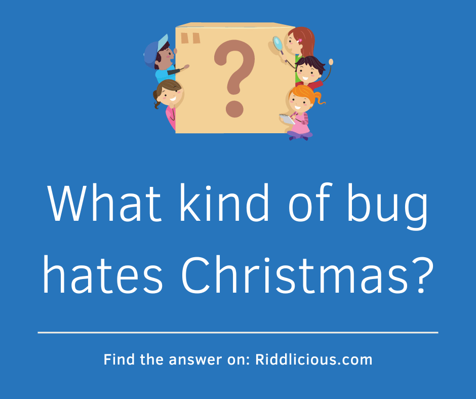 Riddle: What kind of bug hates Christmas?