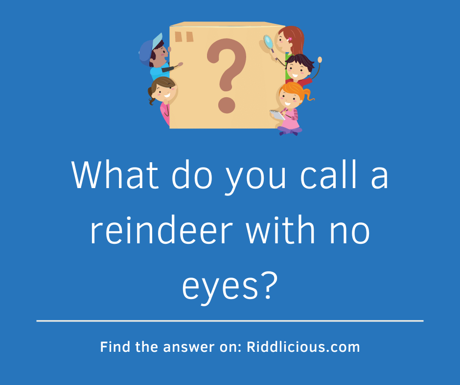 Riddle: What do you call a reindeer with no eyes?