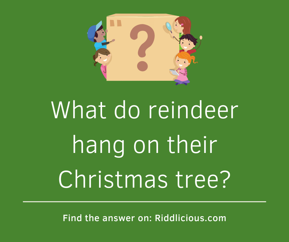 Riddle: What do reindeer hang on their Christmas tree?