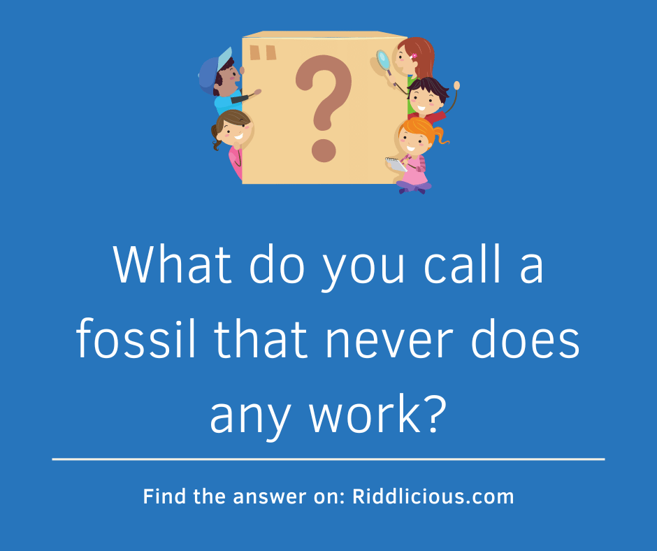 Riddle: What do you call a fossil that never does any work?
