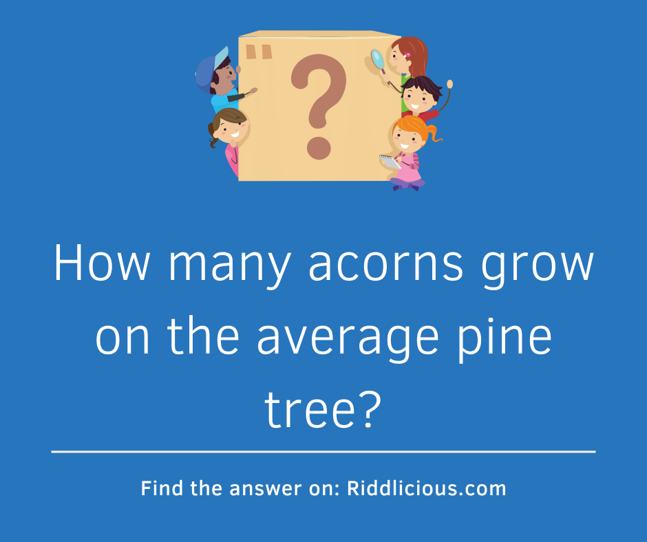 Riddle: How many acorns grow on the average pine tree?