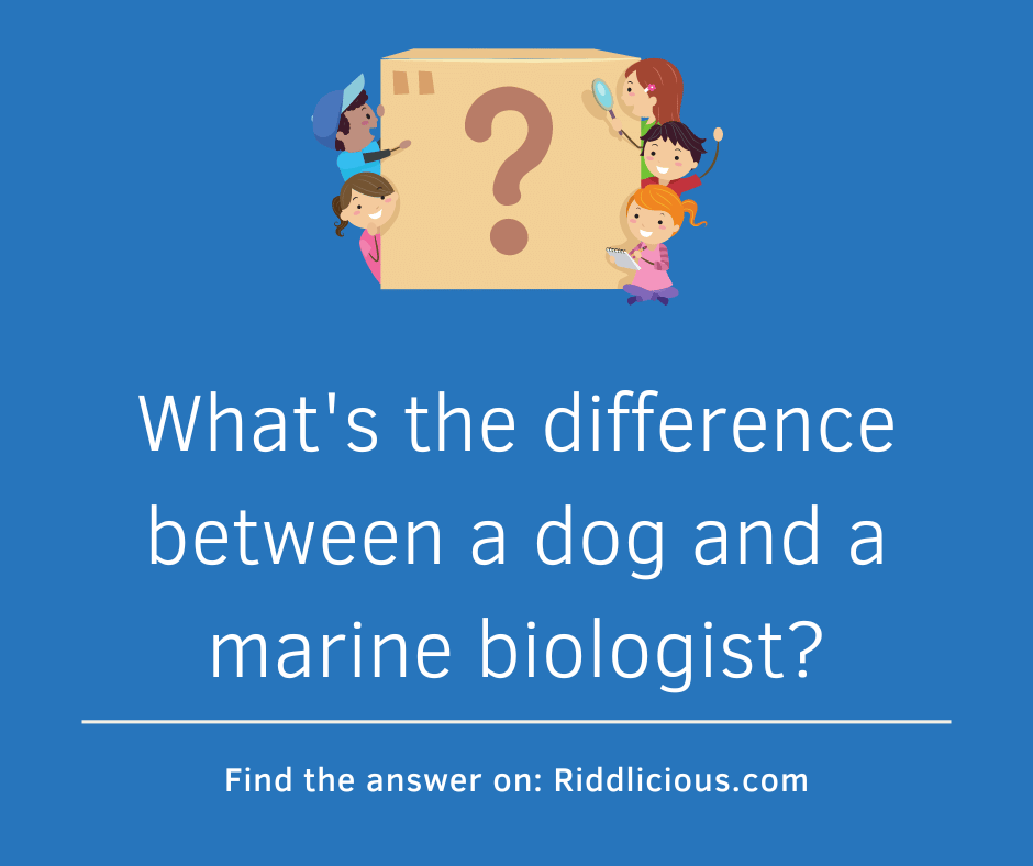 Riddle: What's the difference between a dog and a marine biologist?
