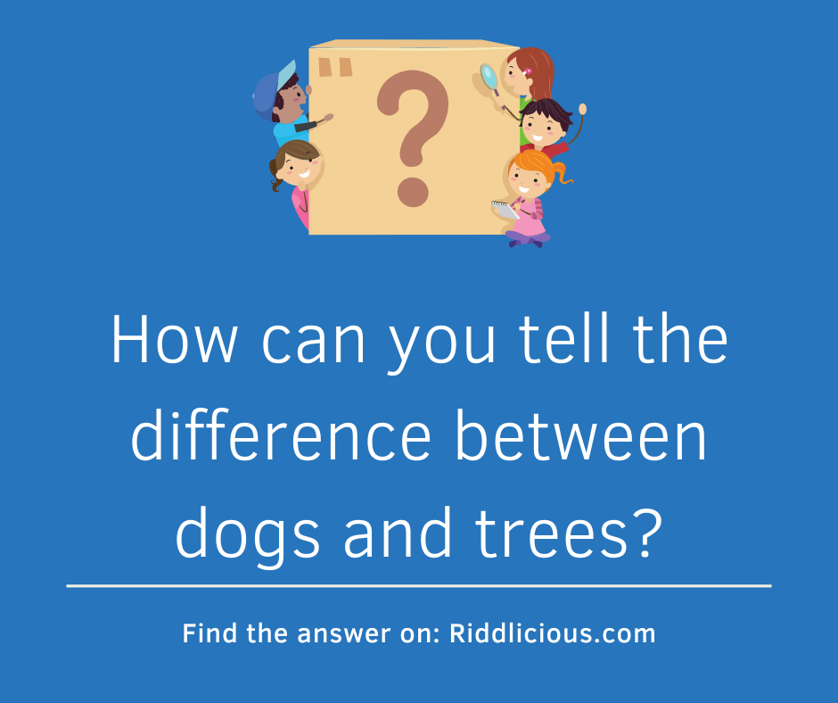 Riddle: How can you tell the difference between dogs and trees?