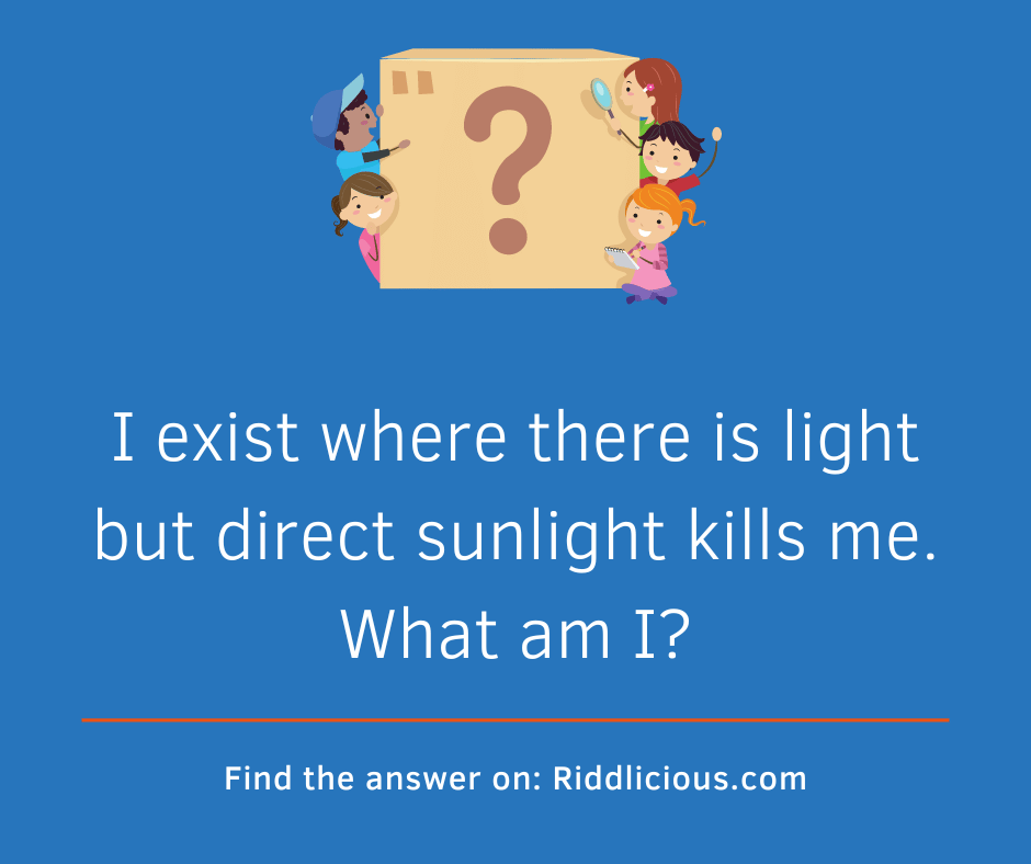 Riddle: I exist where there is light but direct sunlight kills me. What am I?