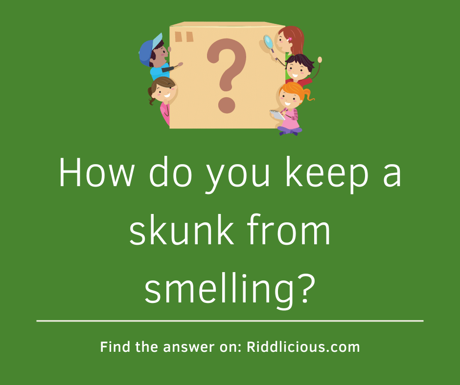 Riddle: How do you keep a skunk from smelling?