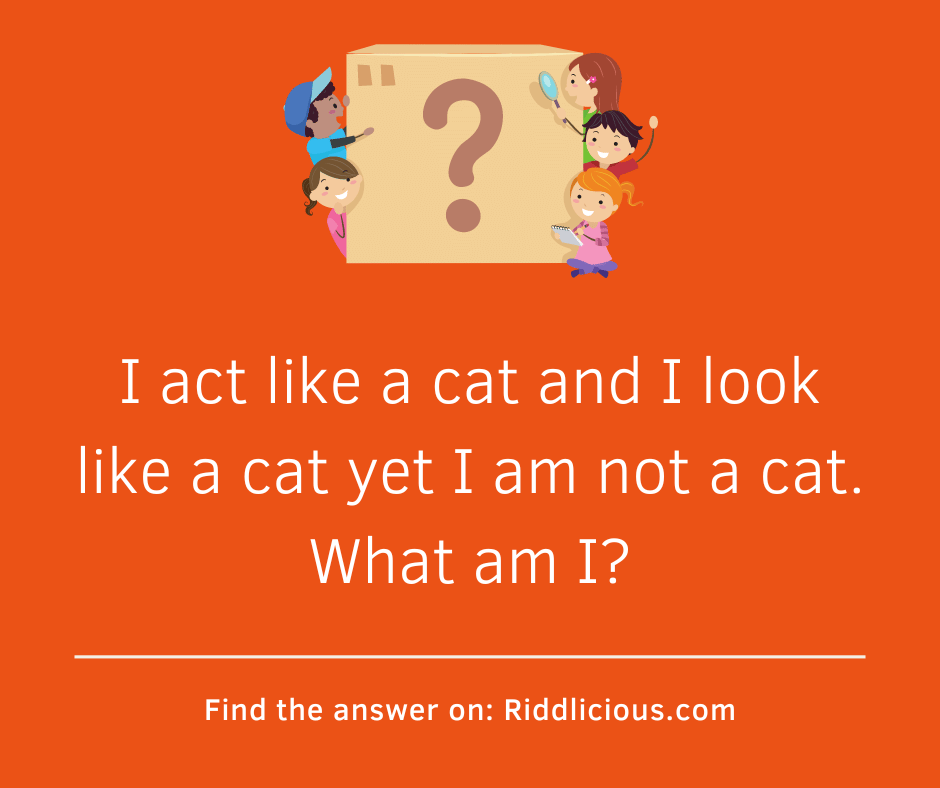Riddle: I act like a cat and I look like a cat yet I am not a cat. What am I?
