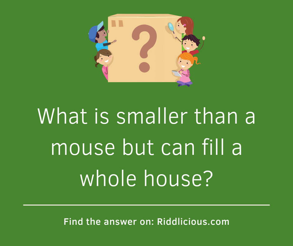 Riddle: What is smaller than a mouse but can fill a whole house?