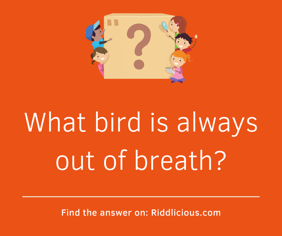 Riddle: What bird is always out of breath?