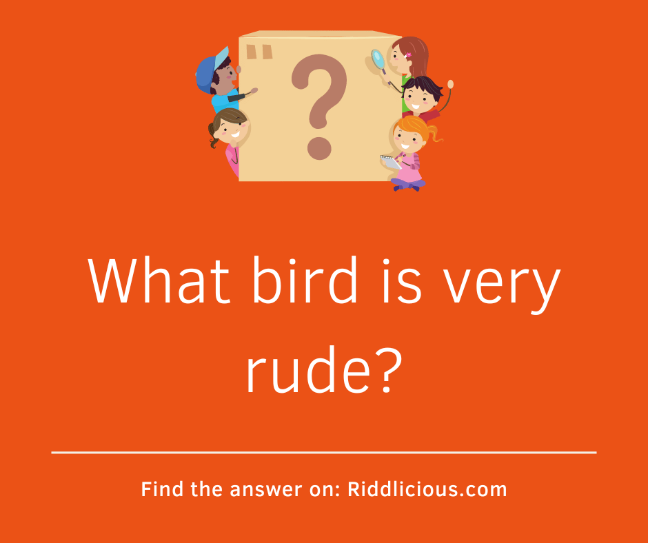 Riddle: What bird is very rude?