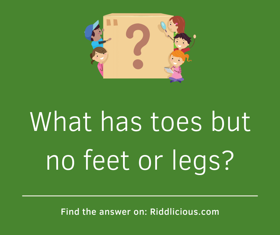 Riddle: What has toes but no feet or legs?