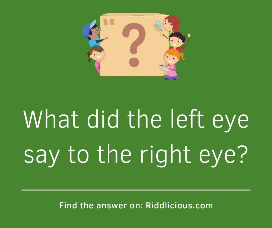 Riddle: What did the left eye say to the right eye?