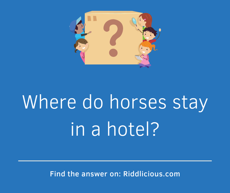 Riddle: Where do horses stay in a hotel?