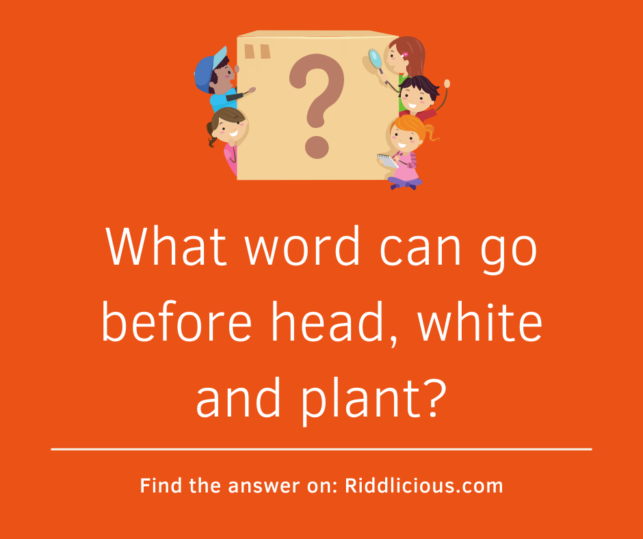 Riddle: What word can go before head, white and plant?