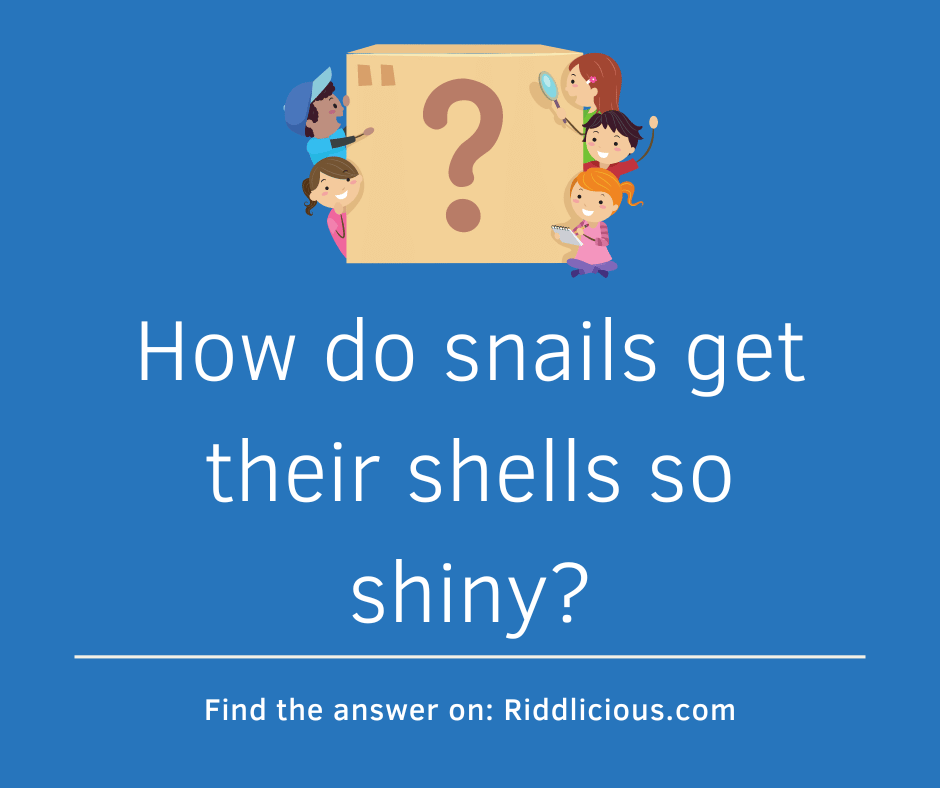 Riddle: How do snails get their shells so shiny?