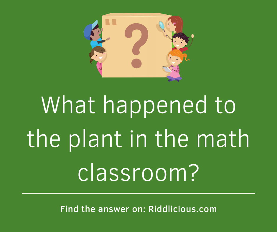 Riddle: What happened to the plant in the math classroom?
