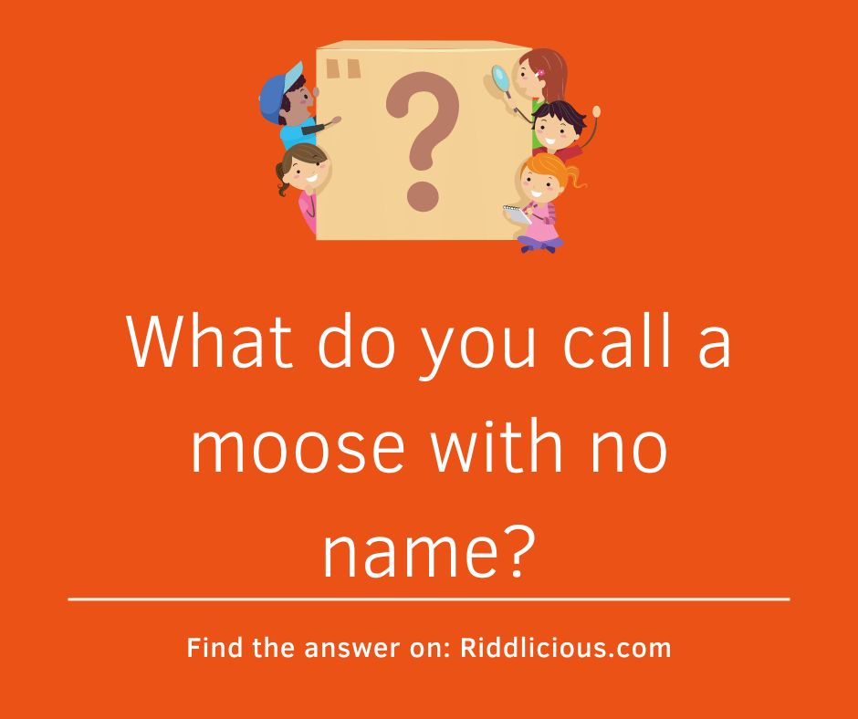 Riddle: What do you call a moose with no name?