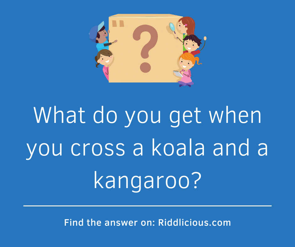 Riddle: What do you get when you cross a koala and a kangaroo?